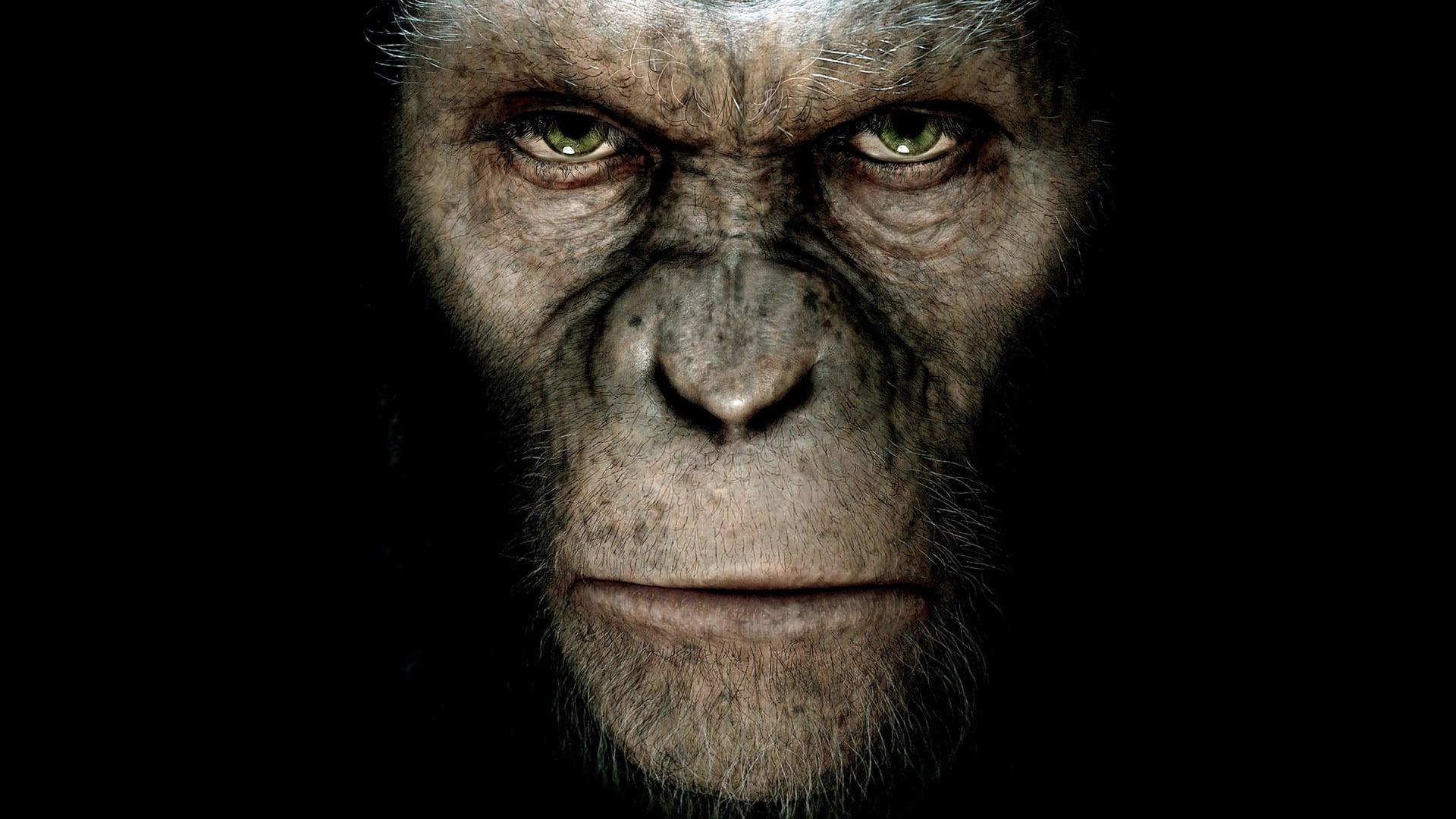 Backdrop Image for Rise of the Planet of the Apes