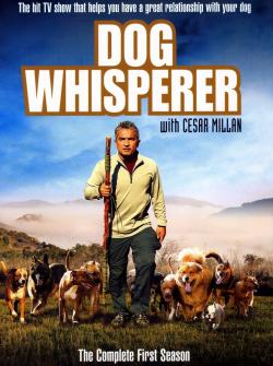 Poster for Dog Whisperer with Cesar Millan: Season 1