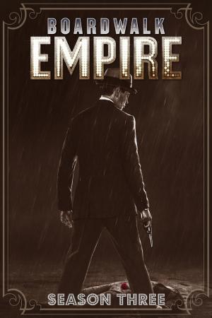 Poster for Boardwalk Empire: Season 3