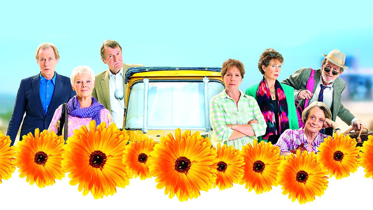 Backdrop Image for The Best Exotic Marigold Hotel