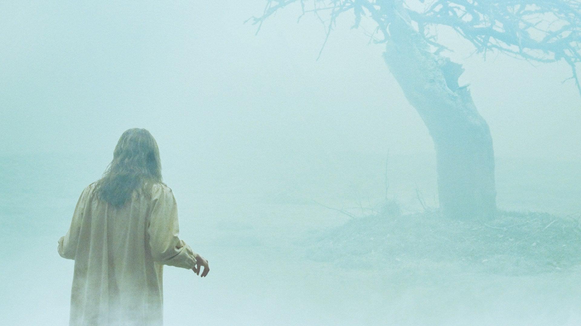 Backdrop Image for The Exorcism of Emily Rose