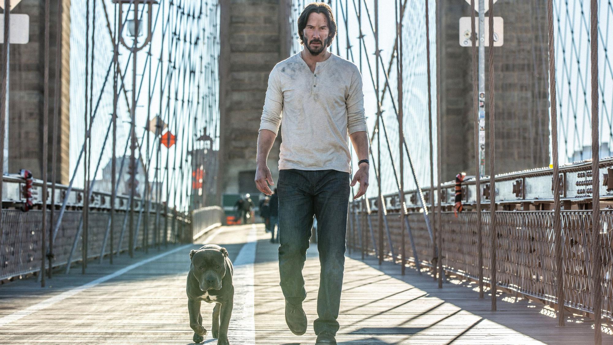 Backdrop Image for John Wick: Chapter 2