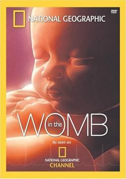 Poster for In the Womb