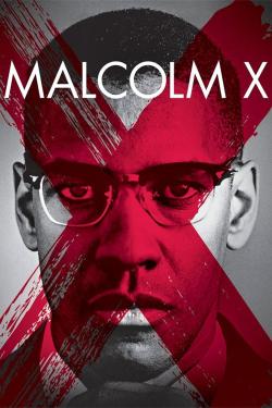 Poster for Malcolm X