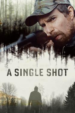 Poster for A Single Shot