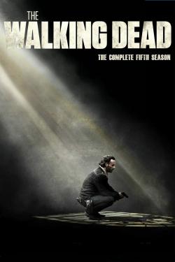 Poster for Walking Dead: Season 5