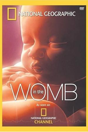 Poster for In the Womb