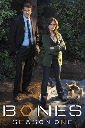 Poster for Bones: Season 3