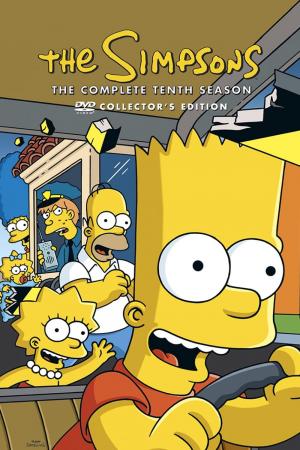 Poster for The Simpsons: Season 10