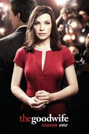 Poster for The Good Wife: Season 1