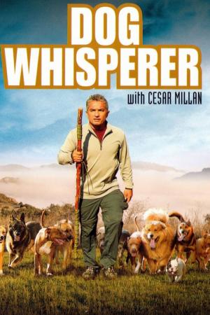 Poster for Dog Whisperer
