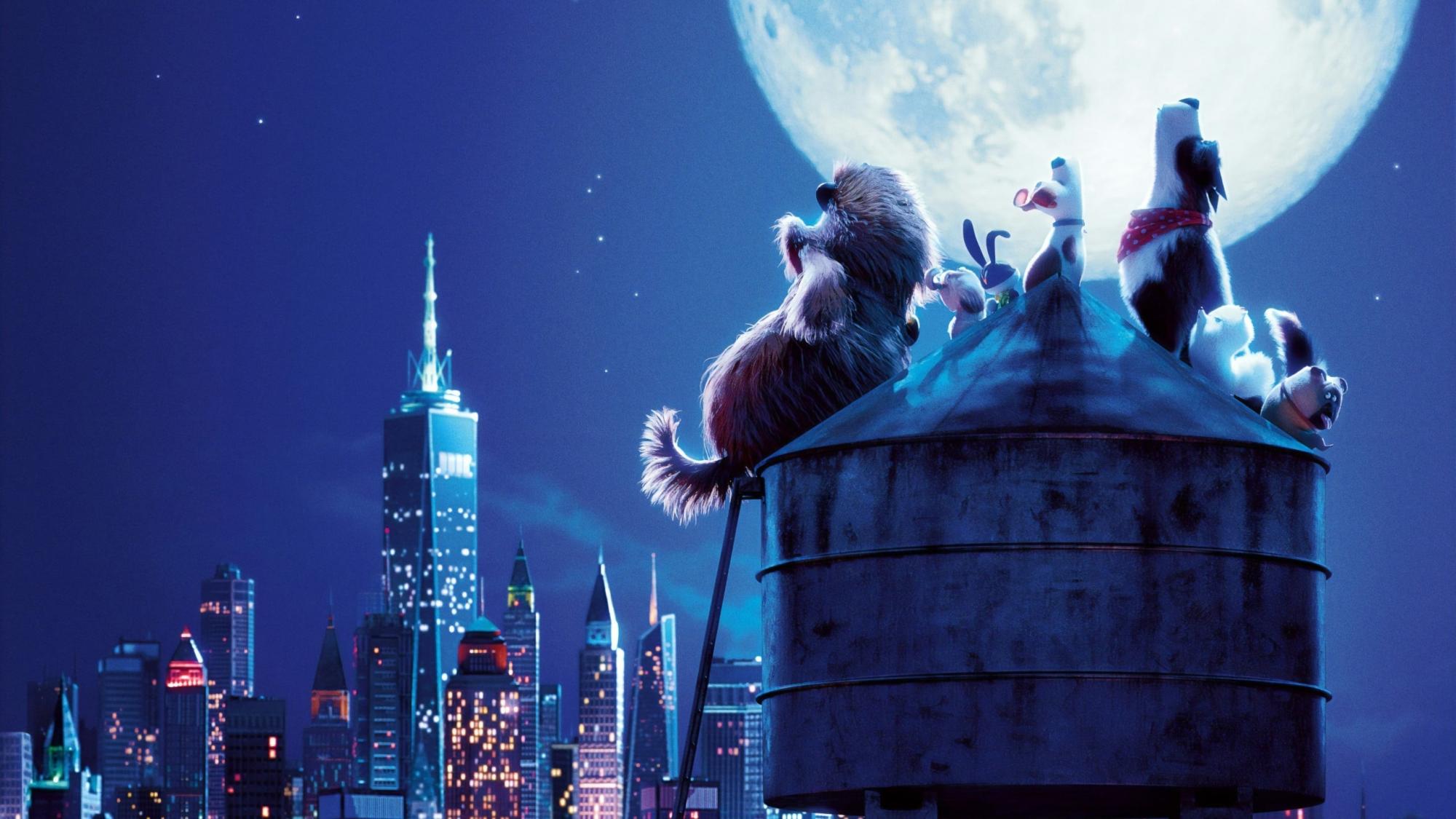 Backdrop Image for The Secret Life of Pets 2