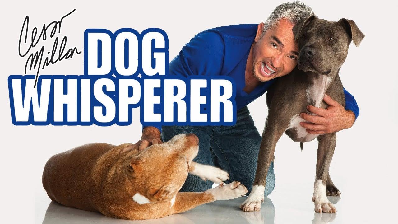 Backdrop Image for Dog Whisperer