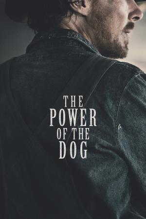 Poster for The Power of the Dog